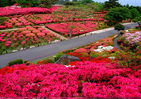 小室山公園